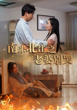 《南来北往之老婆别哭》-全集完整版