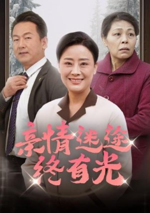 全剧终《亲情迷途终有光》合集完整版1-149大结局（全剧后续/完整版）