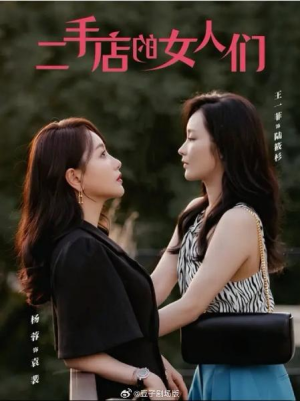 全剧终《二手店的女人们＆二十九》合集完整版1-180大结局（全剧后续/完整版）