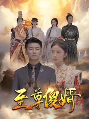 《至尊傻婿》（82集）-全集完整版