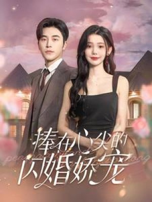 捧在心尖的闪婚娇宠（100集）常高明 / 李丫丫-全集完整版