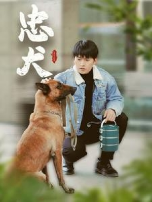 全剧终短剧《忠犬（34集）》（大结局/全剧合集）完整版