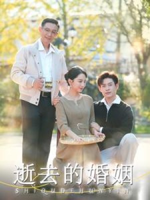 逝去的婚姻（60集）-全集完整版