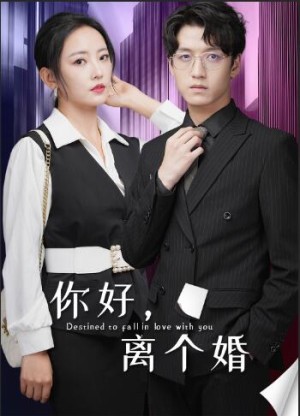 你好离个婚（你好，离个婚）（30集）-全集完整版