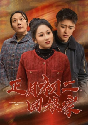 全剧终《正月初二回娘家》合集完整版1-188大结局（全剧后续/完整版）