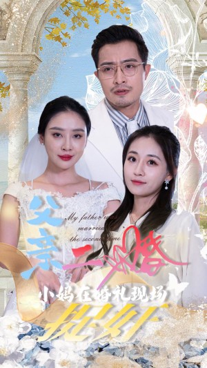 父亲二婚小妈在婚礼现场捉奸（34集）-全集完整版