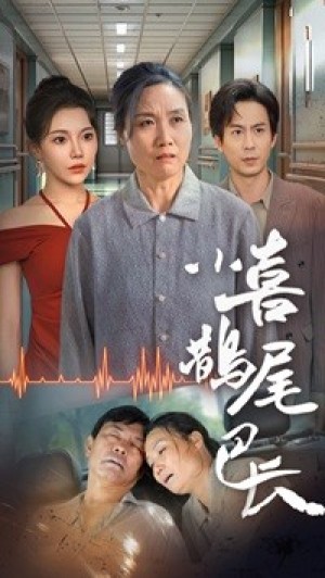 小喜鹊尾巴长（53集）-全集完整版