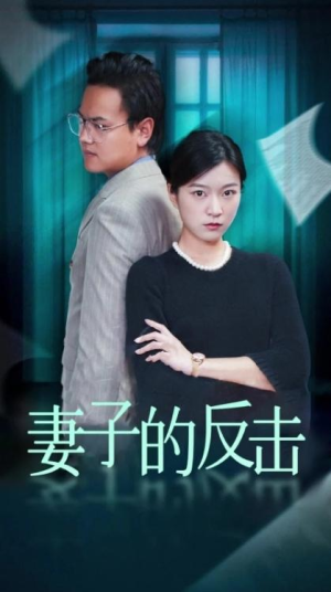 大结局后续《妻子的反击&消失的爱人》全剧终完整版1-27集完整版（合集/完整版）