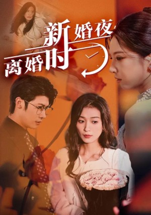 新婚夜离婚时（新婚夜，离婚时）（35集）-全集完整版