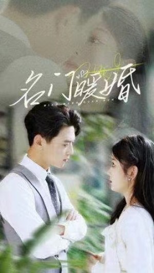 《名门暖婚》-全集完整版